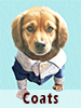 Dashund wearing a Cody coat